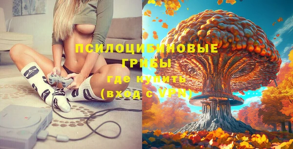 PSILOCYBIN Куйбышев