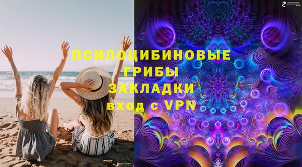 дурь Нягань