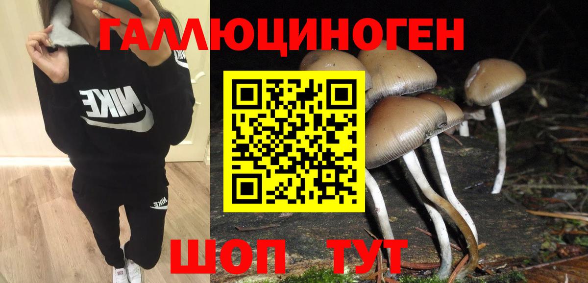 Мефедрон  Мяу-Мяу  А ПВП  Канабис  Вход с VPN  Ленинск-Кузнецкий  Где продают наркотики?  Хэш 